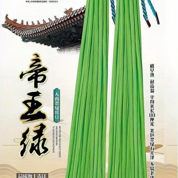 豇豆种子帝王绿白籽白花翠绿色厚肉长豇豆80厘米春夏秋