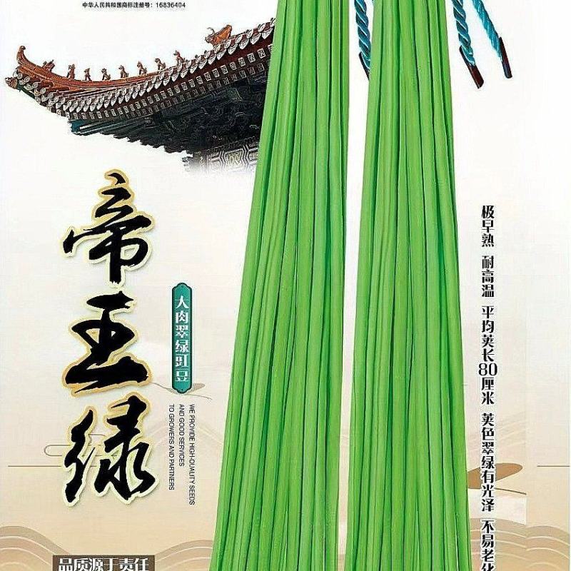 豇豆种子帝王绿白籽白花翠绿色厚肉长豇豆80厘米春夏秋