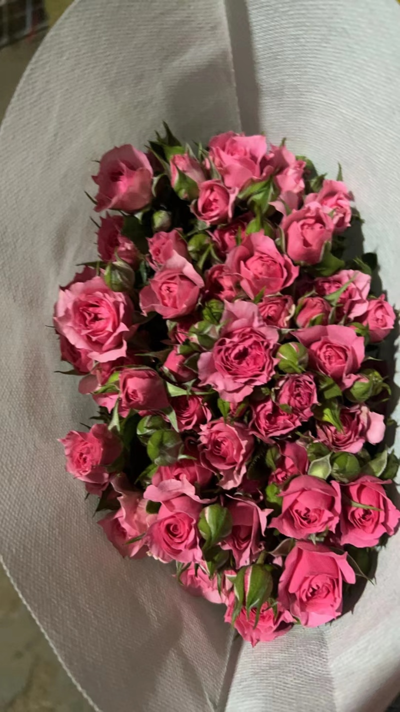 各种彩枚