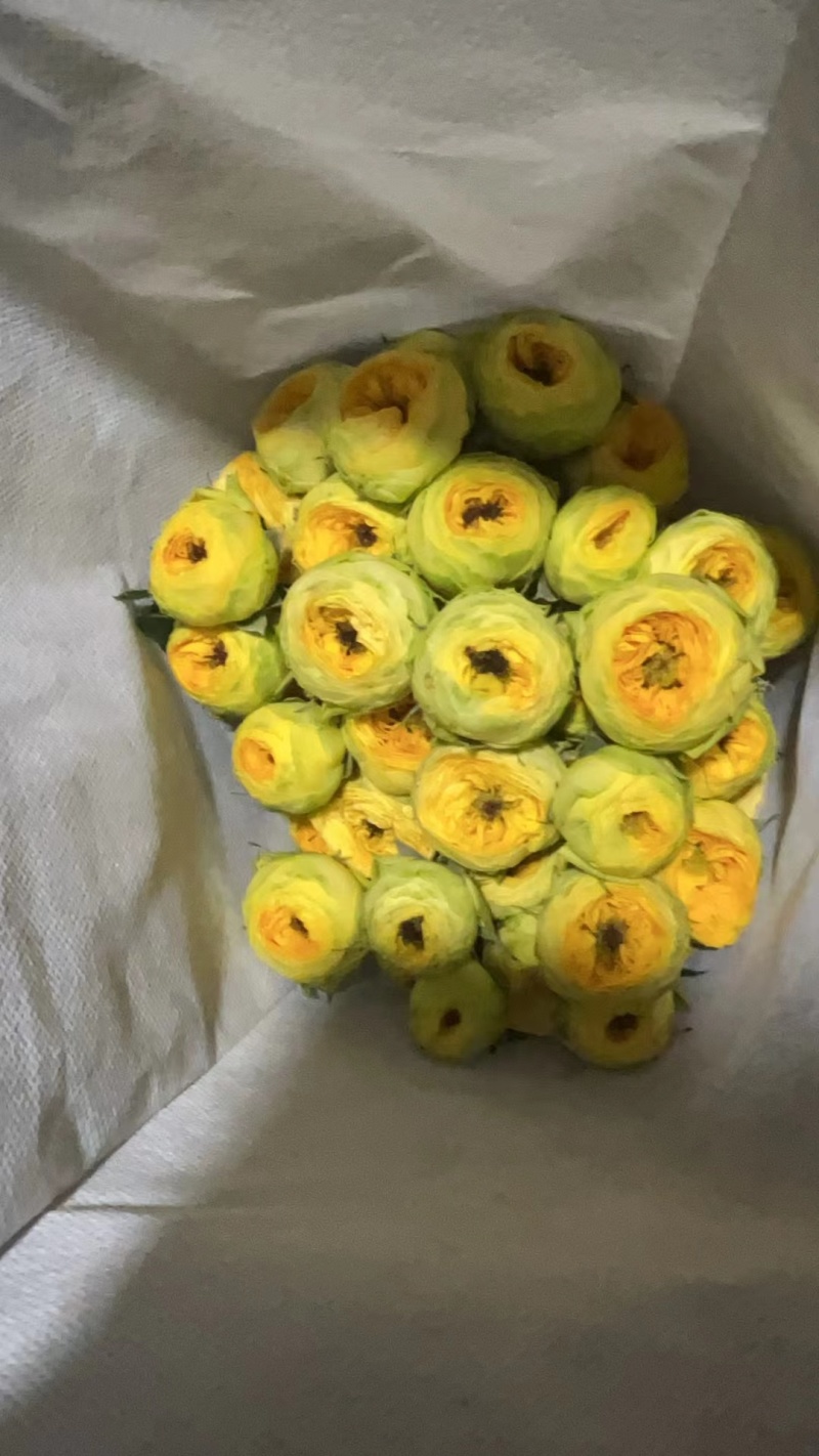 各种彩枚