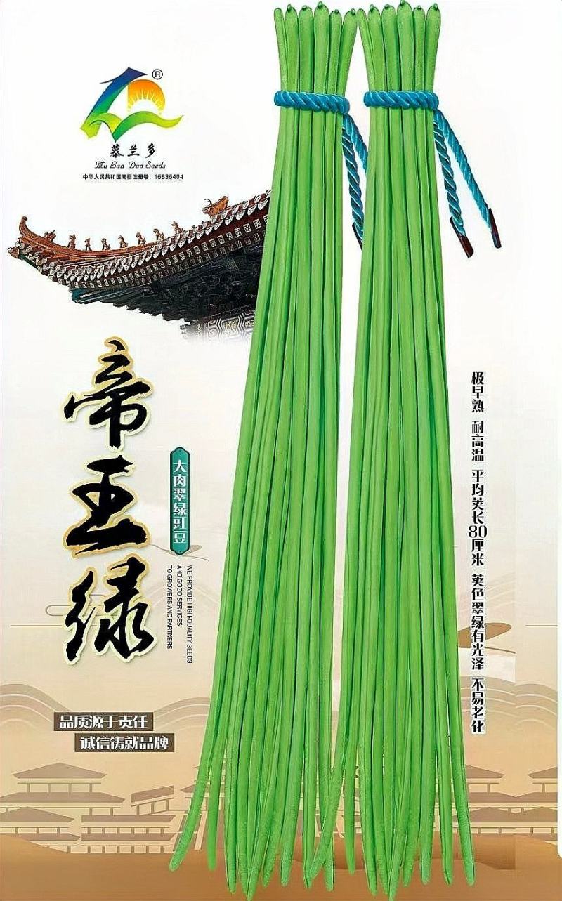豇豆种子帝王绿白籽白花翠绿色厚肉长豇豆80厘米春夏秋