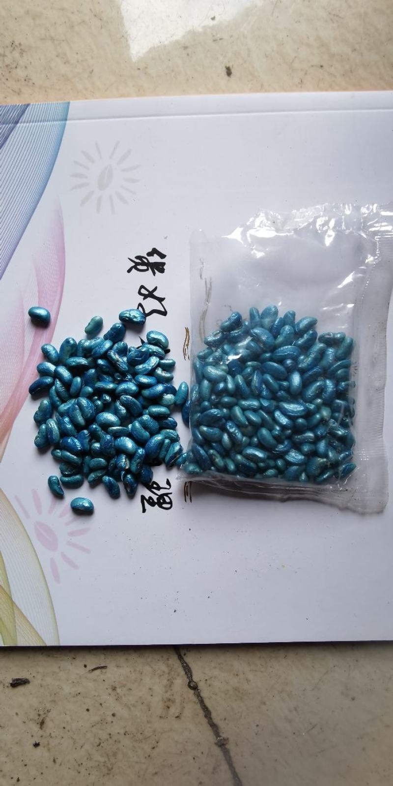 豇豆种子帝王绿白籽白花翠绿色厚肉长豇豆80厘米春夏秋