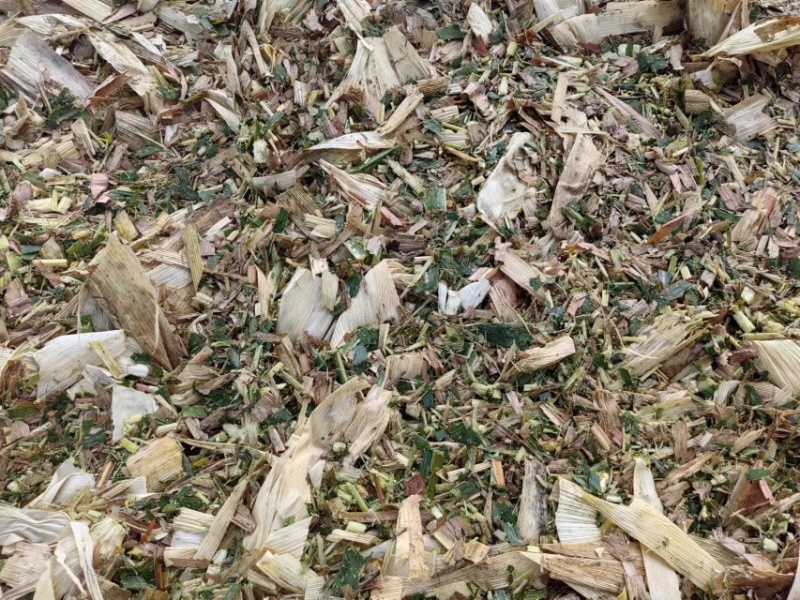 【安徽黄贮草料】玉米秸秆草料大量现货供应，欢迎来电订购