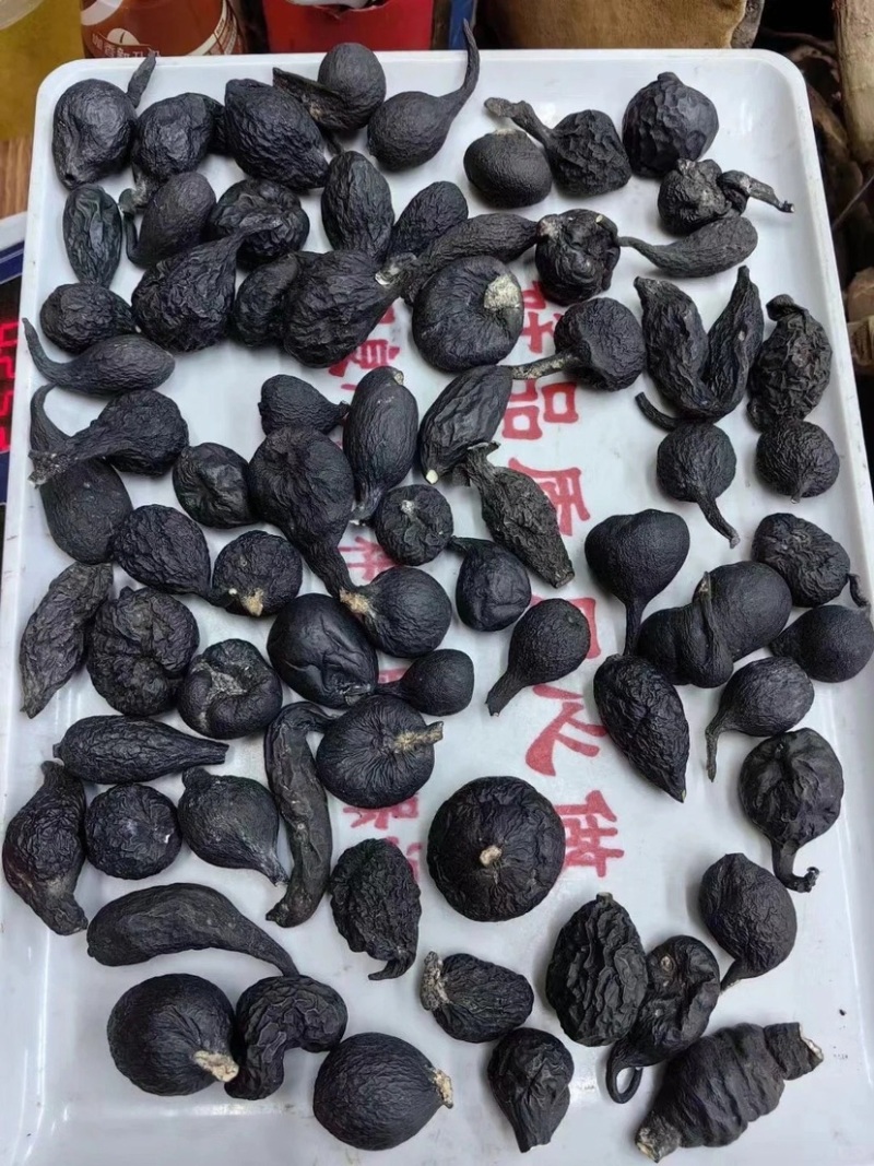 野生乌灵参