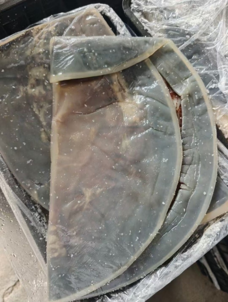 海蜇头渔船打捞腌制海蜇头海鲜过年过节必备