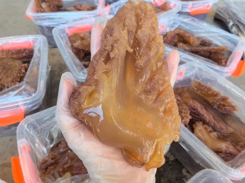 海蜇头渔船打捞腌制海蜇头海鲜过年过节必备