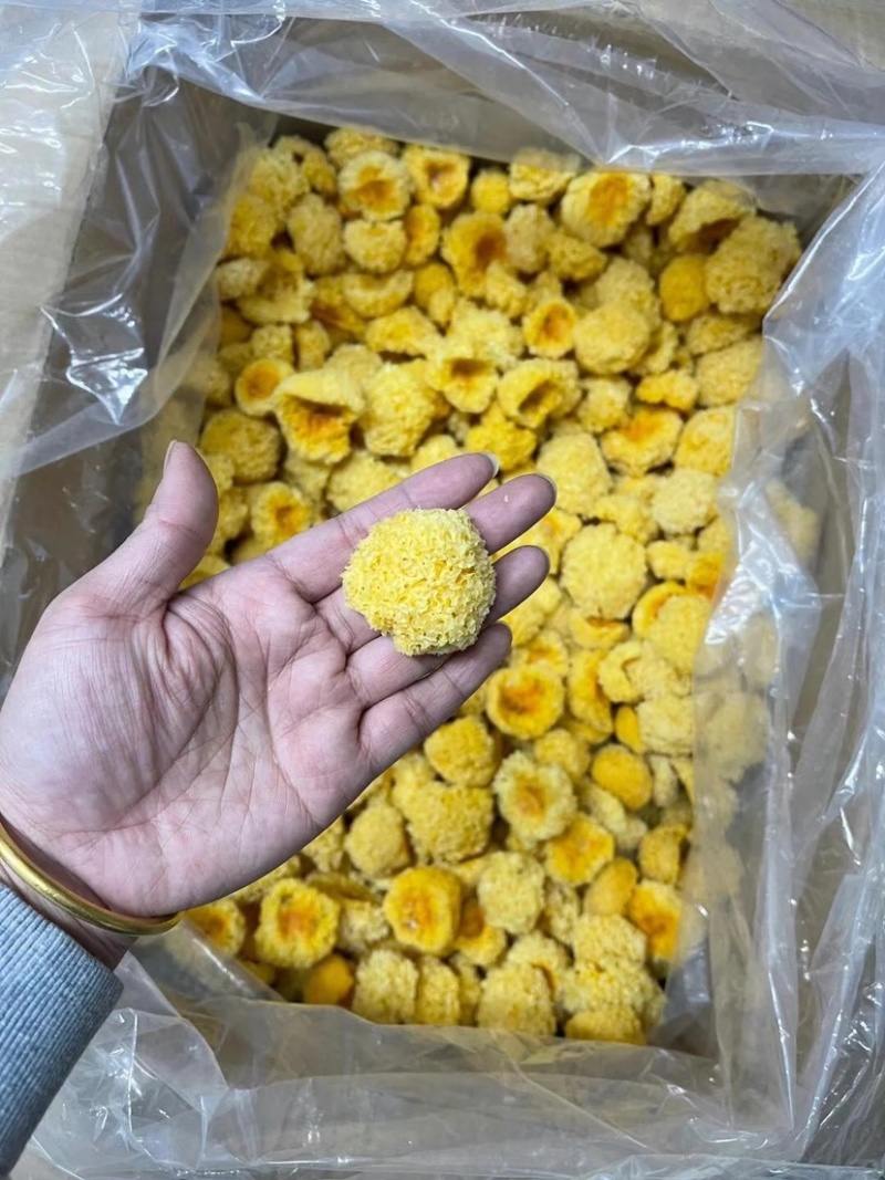 小银耳