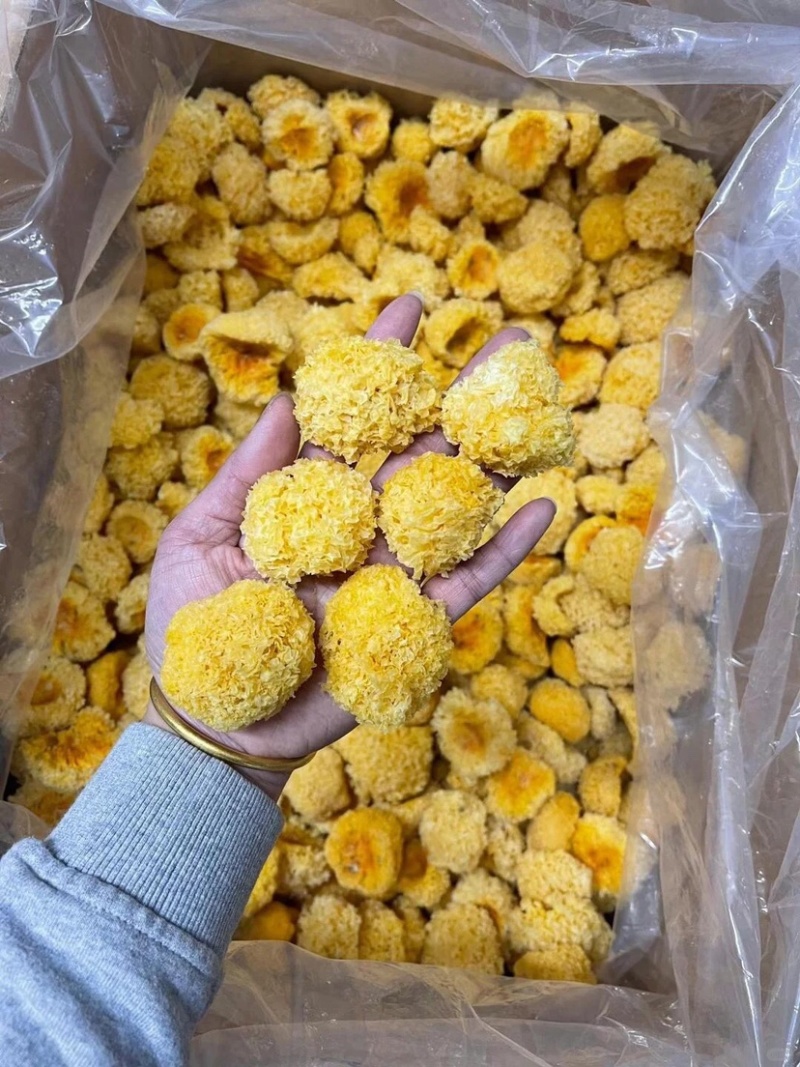 小银耳