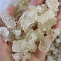 爆米花雪燕
