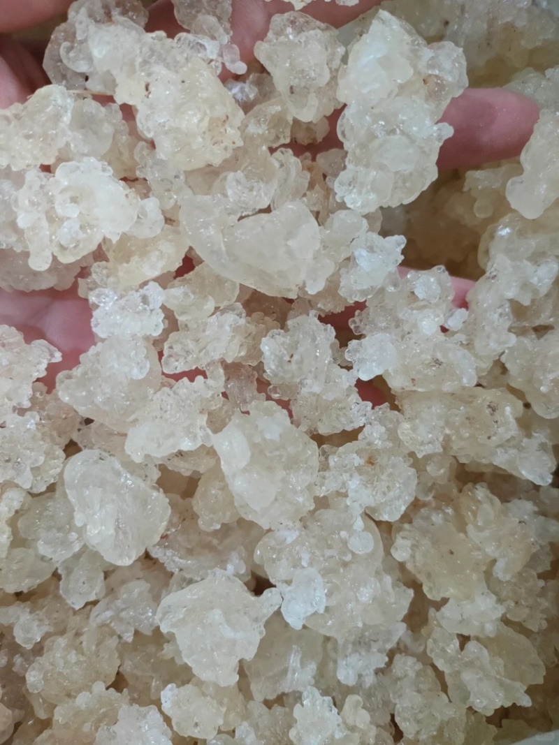 爆米花雪燕