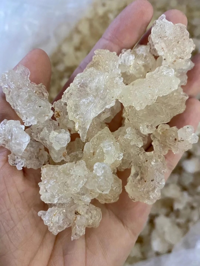 爆米花雪燕