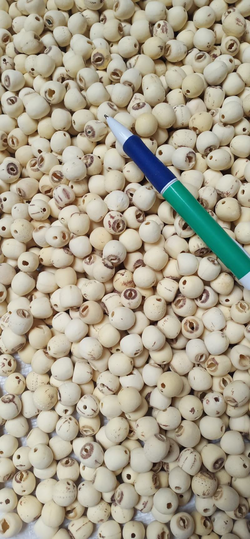 无硫白莲米中药批发量大忧惠全国发货