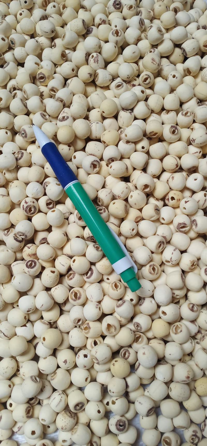无硫白莲米中药批发量大忧惠全国发货