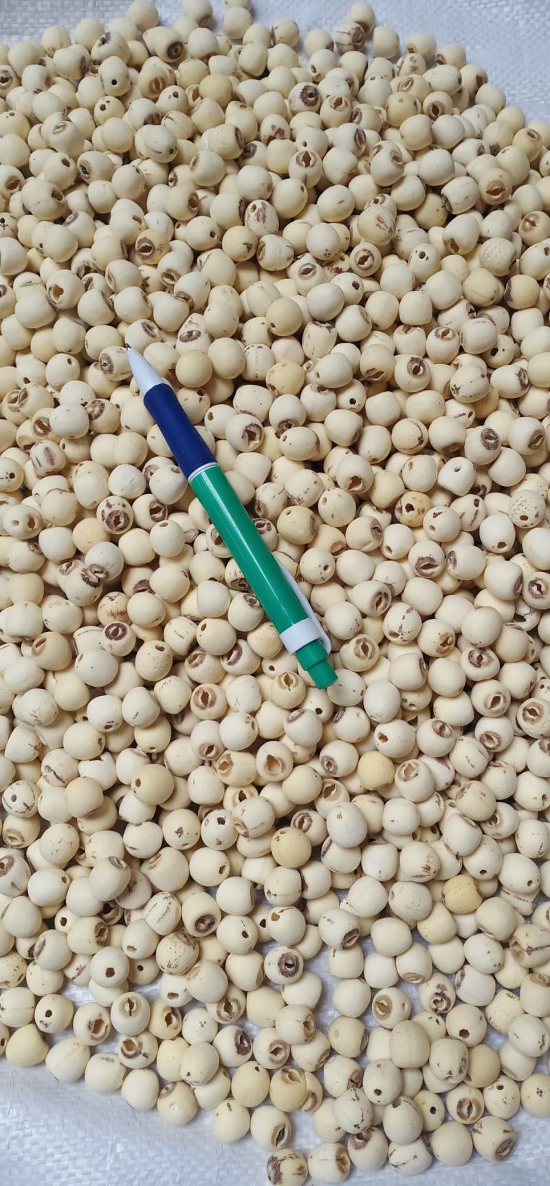 无硫白莲米中药批发量大忧惠全国发货