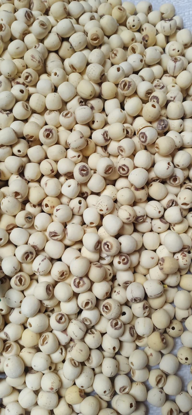无硫白莲米中药批发量大忧惠全国发货