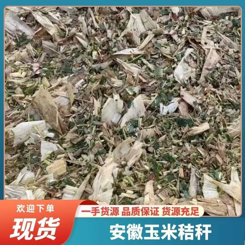 【安徽黄贮草料】玉米秸秆草料大量现货供应，欢迎来电订购