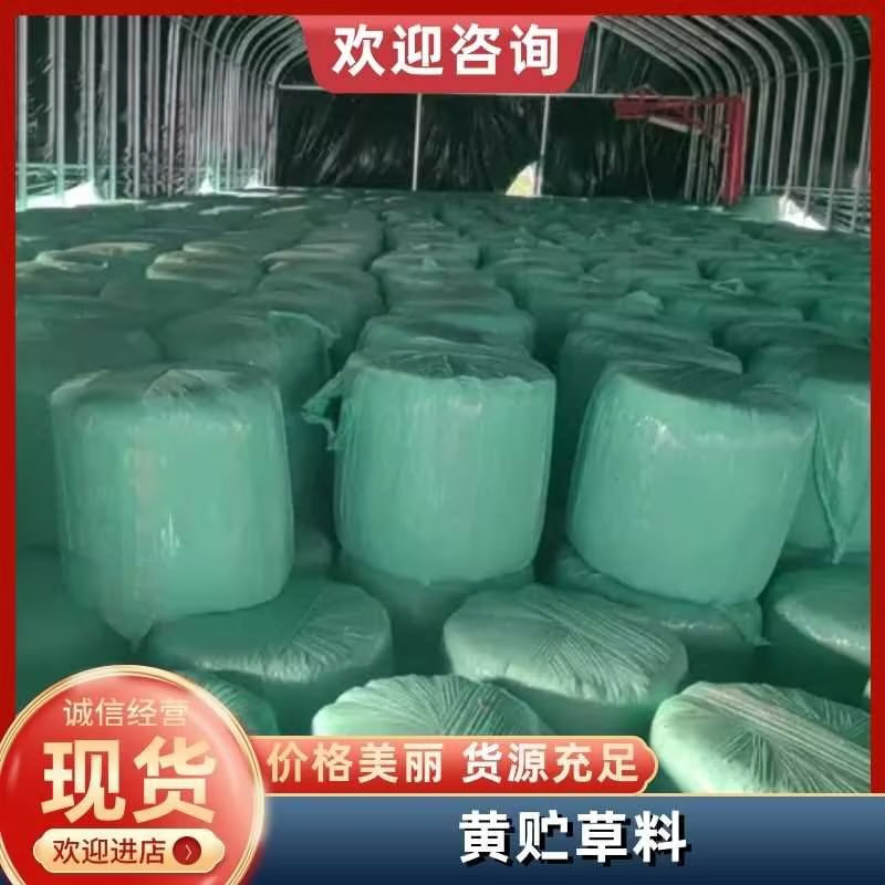 【精品草料】安徽玉米秸秆黄贮草料大量现货供应，诚信发货