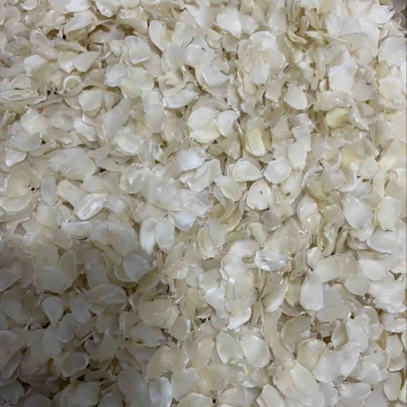 单夹皂角米