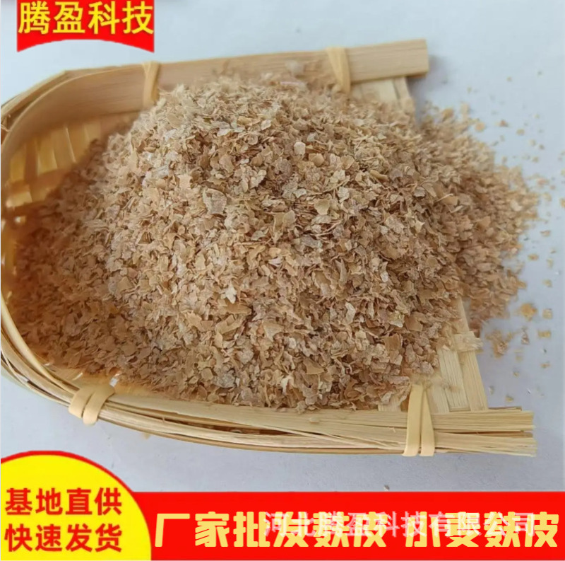 现货批发麸皮大片麸皮牛羊猪饲料粗纤维添加