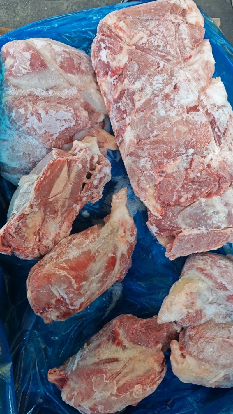 母猪龟腱，龟肉，新货，手续齐全，品质保证