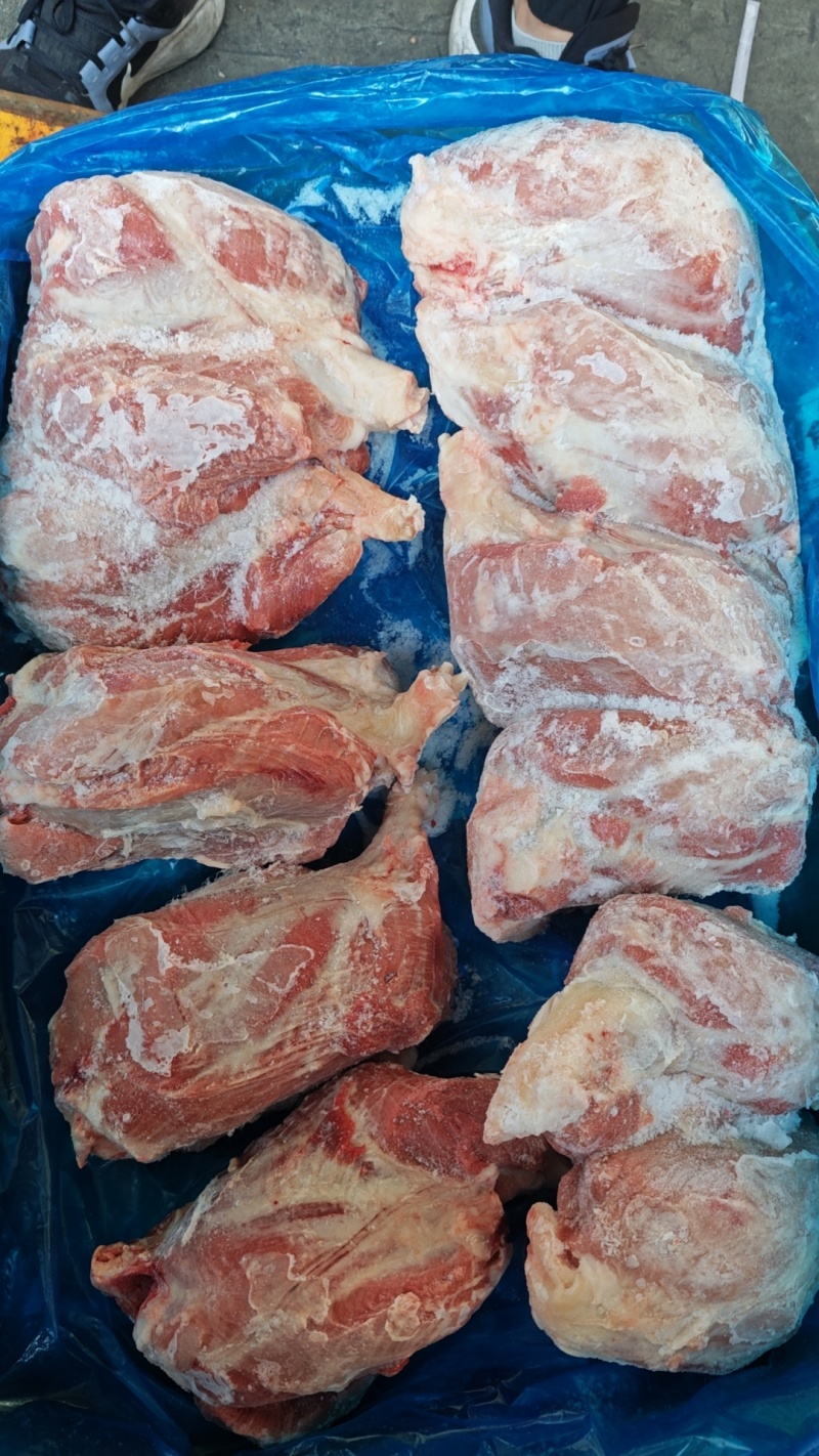 母猪龟腱，龟肉，新货，手续齐全，品质保证