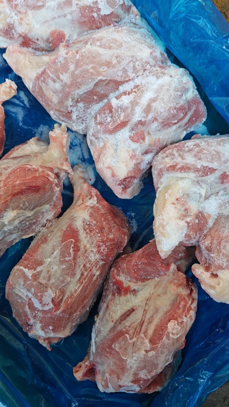 母猪龟腱，龟肉，新货，手续齐全，品质保证