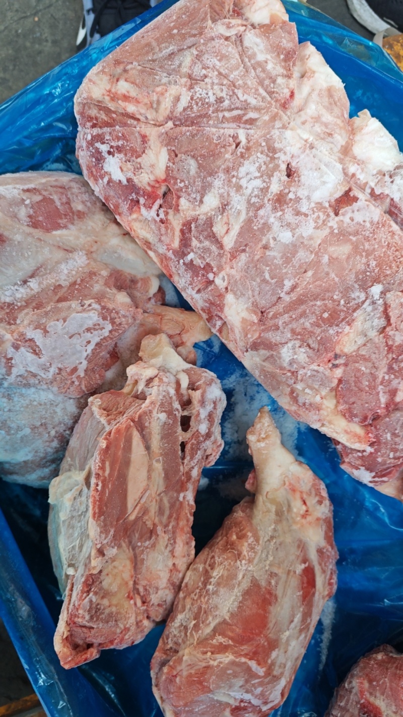 母猪龟腱，龟肉，新货，手续齐全，品质保证