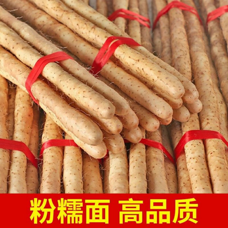 河北山药特产小白嘴白山药铁棍山药淮山药网袋山药各种规格