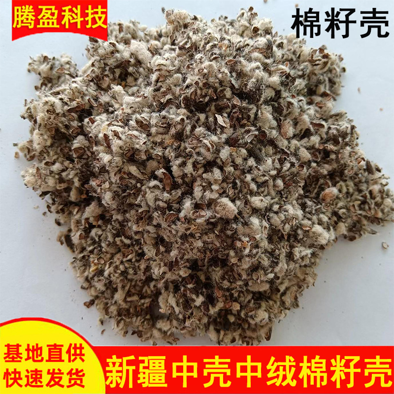 批发棉籽壳食用菌栽培有机质禽畜养殖棉籽壳优质