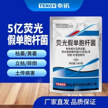 泰诺药业荧光假单胞杆菌防治立枯病土传病害农药杀菌剂