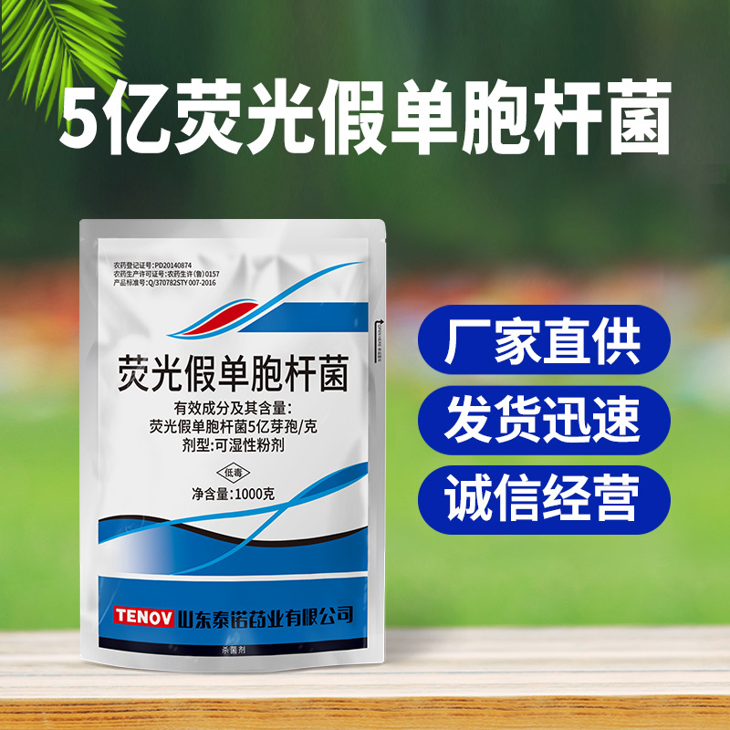 泰诺药业荧光假单胞杆菌防治立枯病土传病害农药杀菌剂