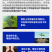 泰诺药业荧光假单胞杆菌防治立枯病土传病害农药杀菌剂