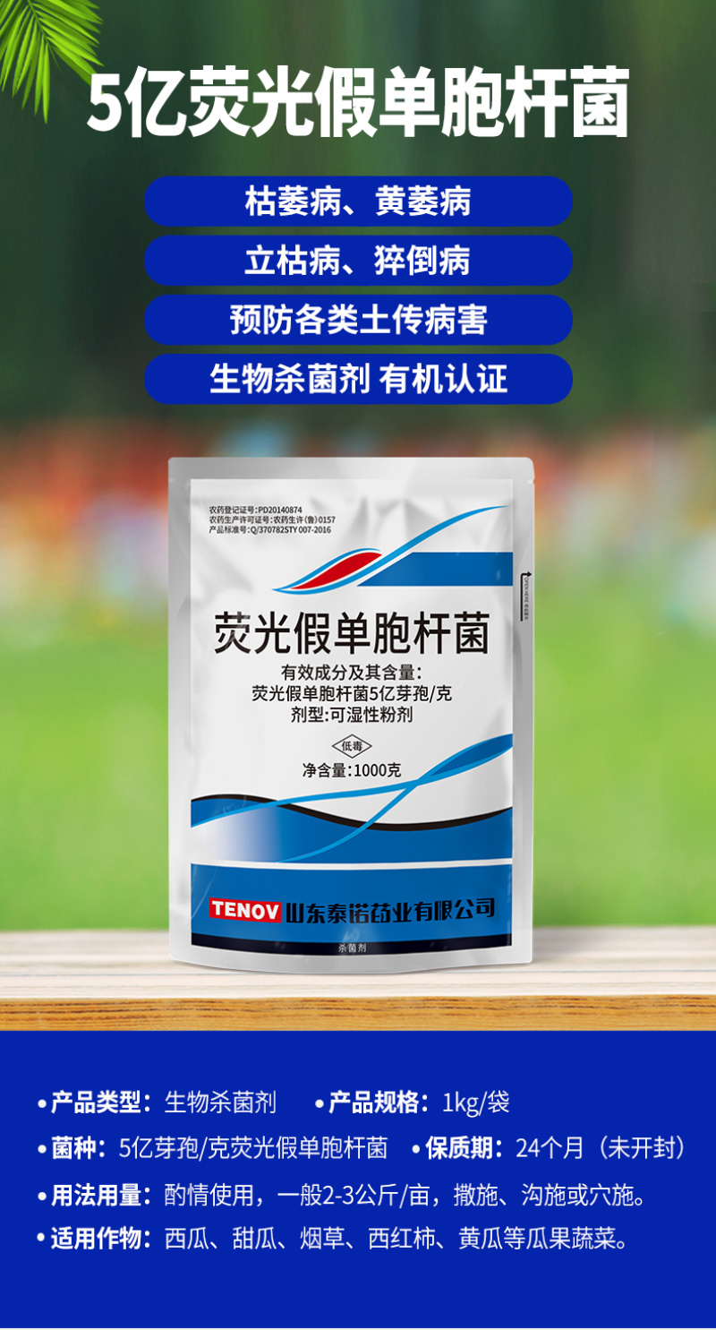 泰诺药业荧光假单胞杆菌防治立枯病土传病害农药杀菌剂