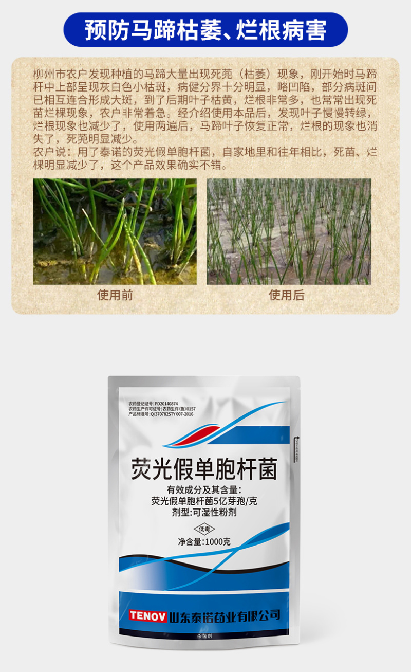 泰诺药业荧光假单胞杆菌防治立枯病土传病害农药杀菌剂