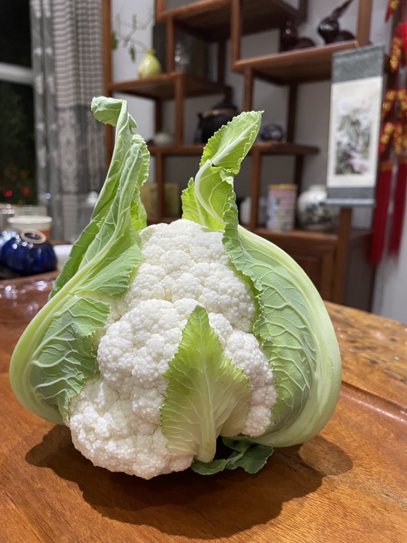 云南玉溪花椰菜苗，欢迎选购一手资源产地直发
