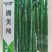 黑皮线椒种子欧兰德湘美辣深绿皮顺直香辣高辣线椒条椒辣椒种