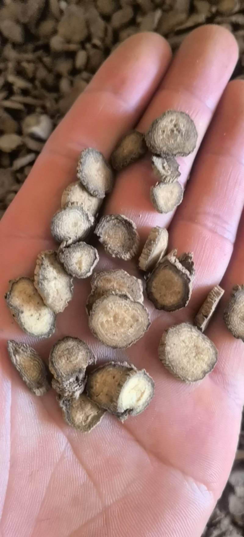 川牛膝精选薄片过0.4筛无硫地道药材关书药业批发