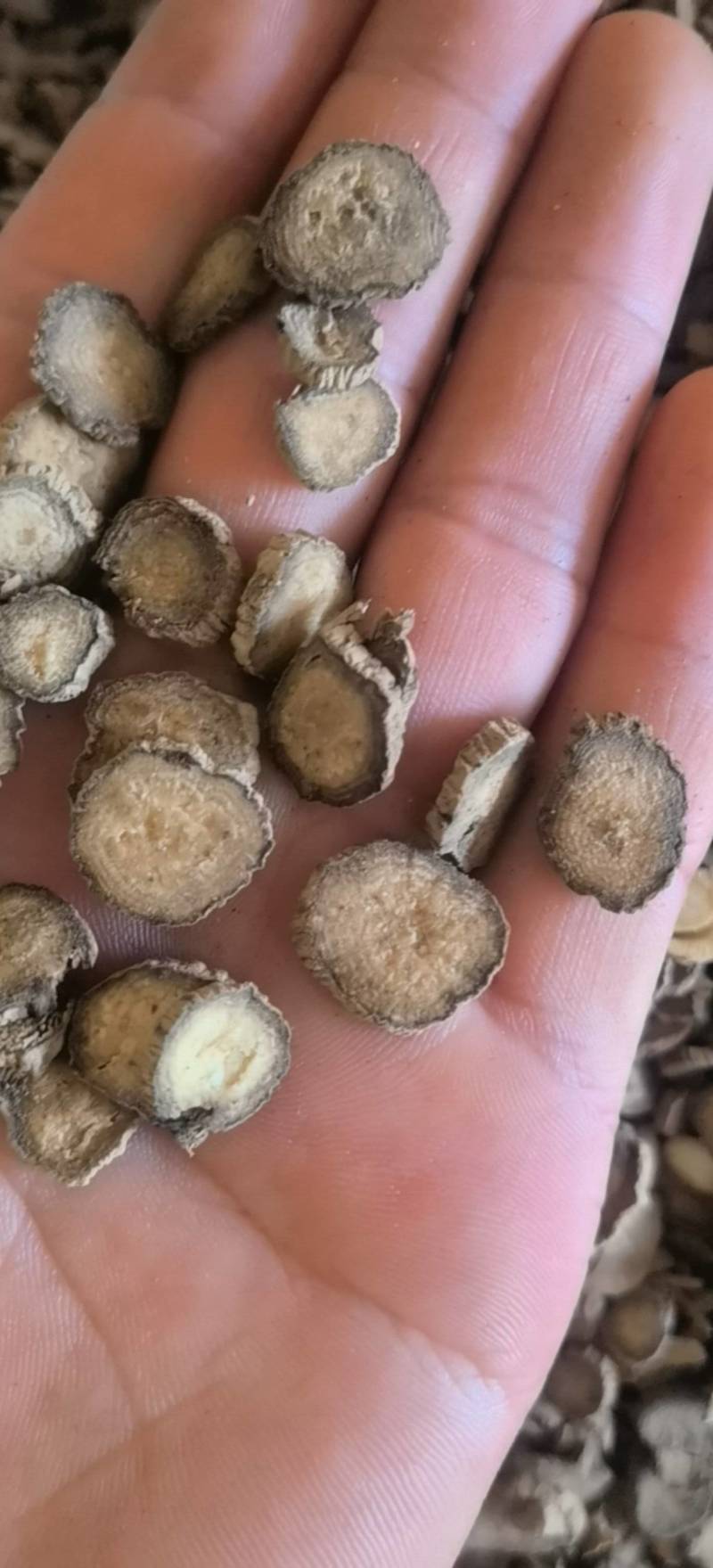 川牛膝精选薄片过0.4筛无硫地道药材关书药业批发
