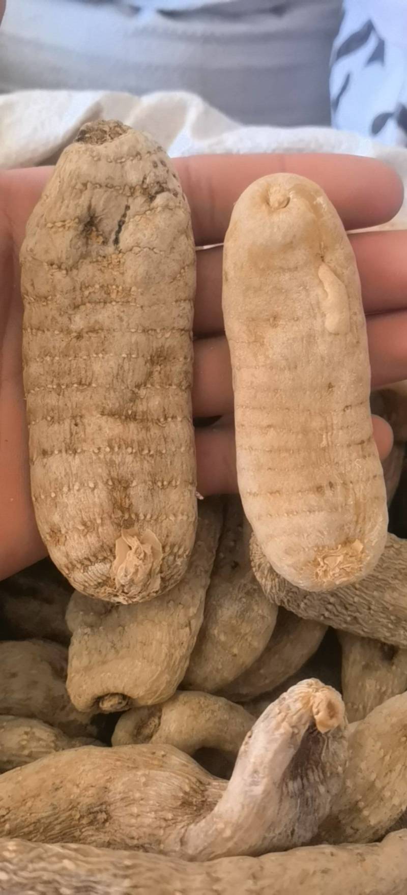 天麻天麻个玻璃茬关书药业批发中药材