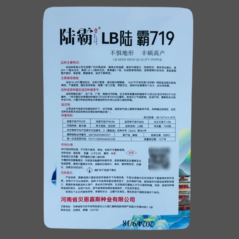 陆霸719大果朝天椒种子中晚熟抗病丰产大果长把朝天椒种