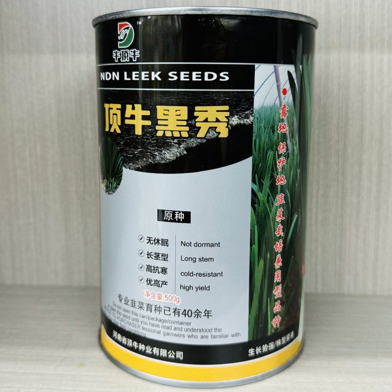 原装正品顶牛黑秀韭菜种子耐寒不休眠韭菜种籽露地大棚抗病韭