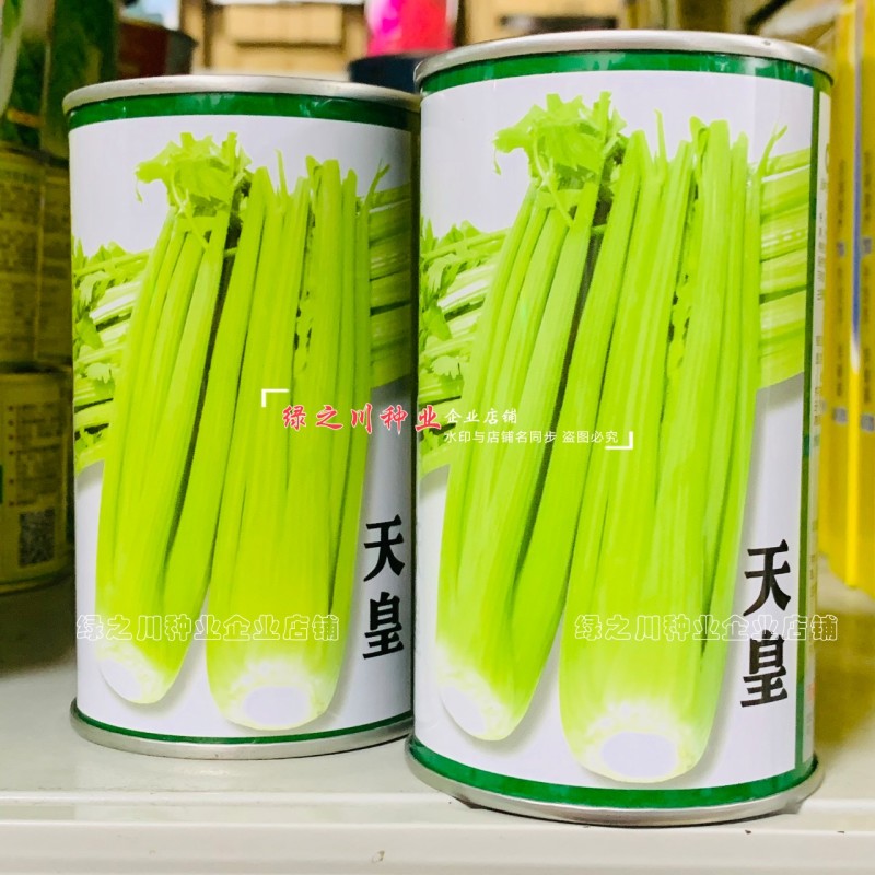 天皇西芹种子美芹法芹杂交脆嫩黄亮芹菜种籽四季耐寒耐热
