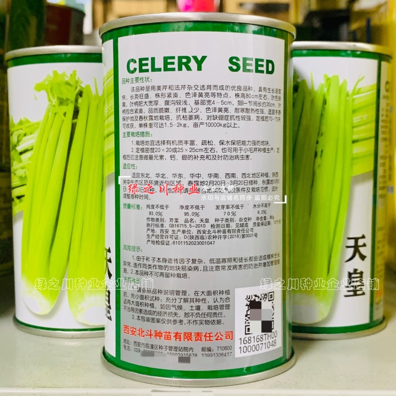 天皇西芹种子美芹法芹杂交脆嫩黄亮芹菜种籽四季耐寒耐热
