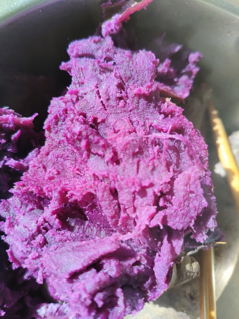 山东紫薯正宗面甜紫罗兰紫薯