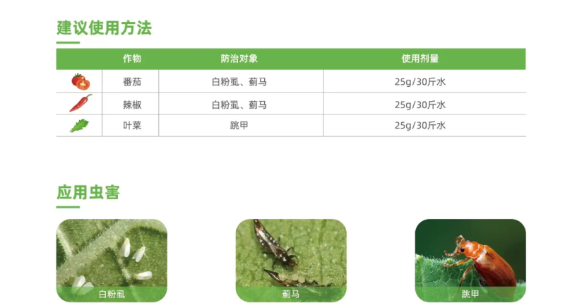 新长山狙击塔杀虫环啶虫脒甘蓝黄条跳甲白粉虱蓟马杀虫剂