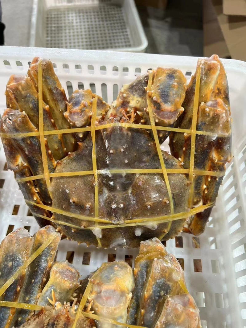帝王蟹