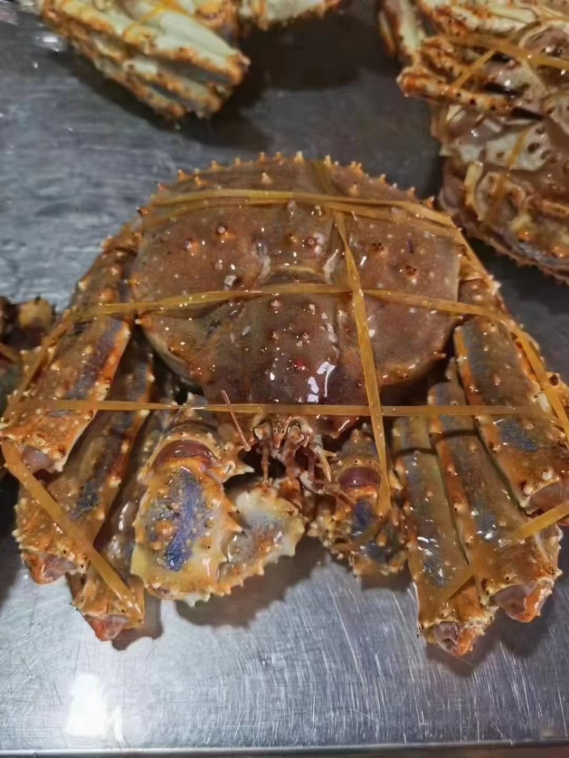 帝王蟹