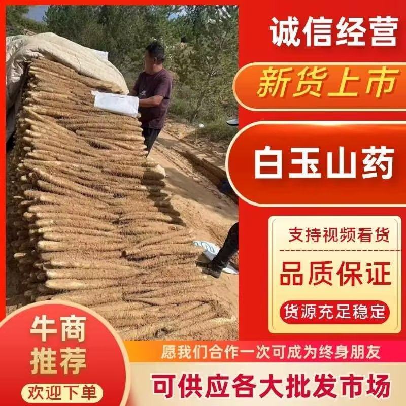 榆林白玉山药品质保证诚信经营，给你**高品质货源！