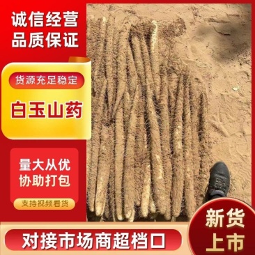 榆林白玉山药，给你**品质货源，给你**惠的价格！