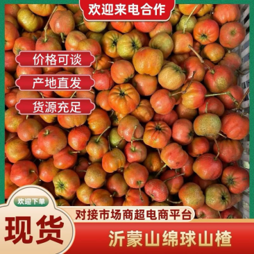 棉球山楂大量上市，糖葫芦手选有需要的老板欢迎联系